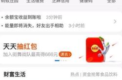 怎么看基金买入股票的成本是多少