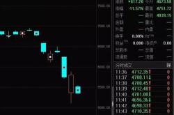 多国股市触发熔断，发生了什么？公募热议美股未来走向