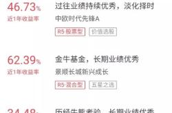 主动优选组合是什么基金？
