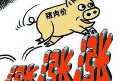 猪价屡创新高，这根弦也快绷起来了！