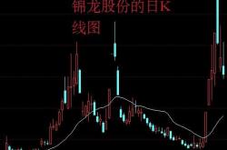 今日涨跌停股分析：只涨停股只跌停股，复旦复华（上海国企改革）天板