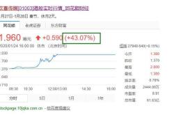 投资回报率和股票价格