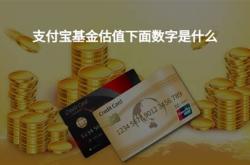 基金现在哪里能看估值