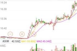 1.南京证券公司概况