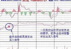 新浪股市及时雨