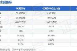 普源精电（）月日主力资金净买入万元