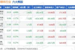 宏华数科（）月日主力资金净卖出万元