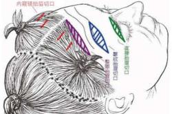 蚂蚁集团概念股是什么意思