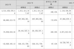 在国际舞台上，勇敢追梦