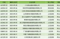 沃尔达财务报表