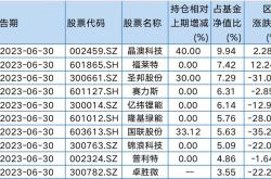 广发小盘成长a
