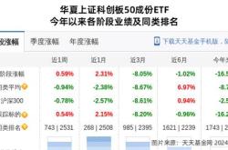 拼多多概念股大涨