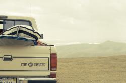 货车司机的空中花园，为狗狗打造全景狗窝