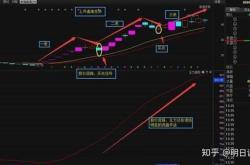 上市前必须ipo吗