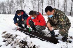 北大荒股票2021年业绩