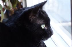 探索002195的隐形宝藏，走进这只股票的稳健旅程