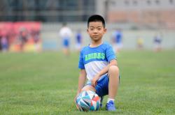 探索闽东电力，深度解析电力蓝筹的投资魅力与机遇