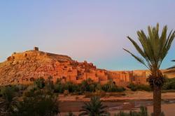 深度解析，解锁劲嘉股份投资密码——走进这家烟草巨头的行业洞察