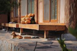 限号查询指南，如何轻松掌握今天限行信息