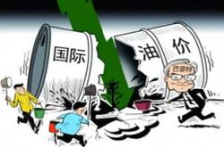 为什么基金跌那么惨