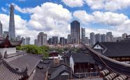 新力地产新动向，打造未来居住新篇章