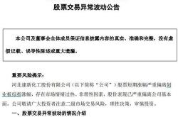 新朋股份目标价30
