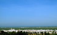 永辉超市股价波动分析，市场动态与投资前景
