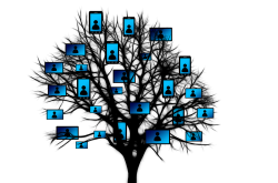 揭秘天奈科技，前五大客户深度解析与合作前景展望