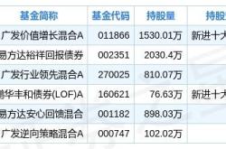 基金有什么专业术语