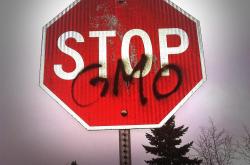 赛诺菲安万特，全球健康领域的领导者