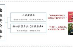 为什么选择主动性基金