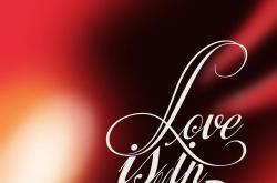 给爱情投个保，情感投资的艺术与智慧