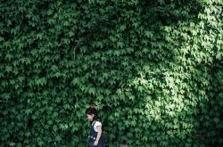 宝宝树，父母与孩子共同成长的绿色空间