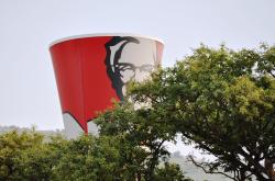 凤凰光学集团：从江南小镇到全球光学巨头的蜕变之路，揭秘技术突破与产业升级