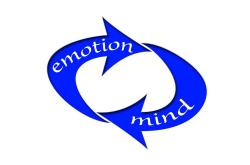 深圳投资者互动平台使用指南：让投资更透明、决策更高效