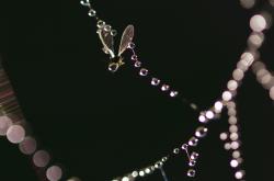 东方金钰官网：一站式珠宝选购与鉴赏指南，轻松避开选购陷阱