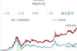 基金净值在哪查