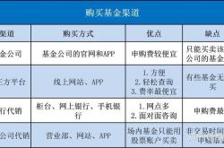 怎么找成长型基金