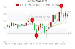 华仁股票股吧