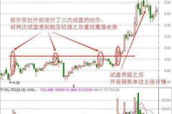 每股分红最多的股票排行