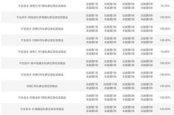 王亚伟的公募基金
