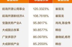 重仓电力股的基金