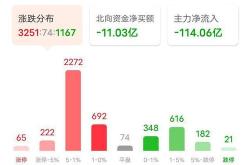 股票跌幅多少必须止损