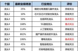 大基金概念是什么意思