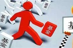 买基金和股票哪个回报高一点