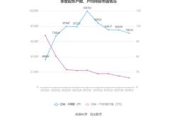 连续跌停后上演"惊天大逆转"!立昂微(605358.sh)业绩增长可期?