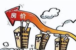 政府收储与房价波动去库存政策的双刃剑效应