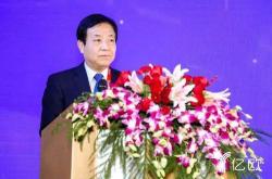 苏宁环球高层薪酬调整张桂平与蒋立波的年薪变动分析