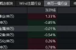 中远海控的强劲表现