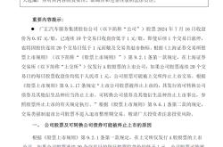 如何评价广汇汽车股票